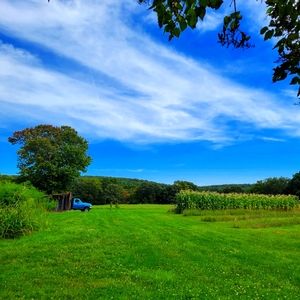 Meet your Posher, Tina